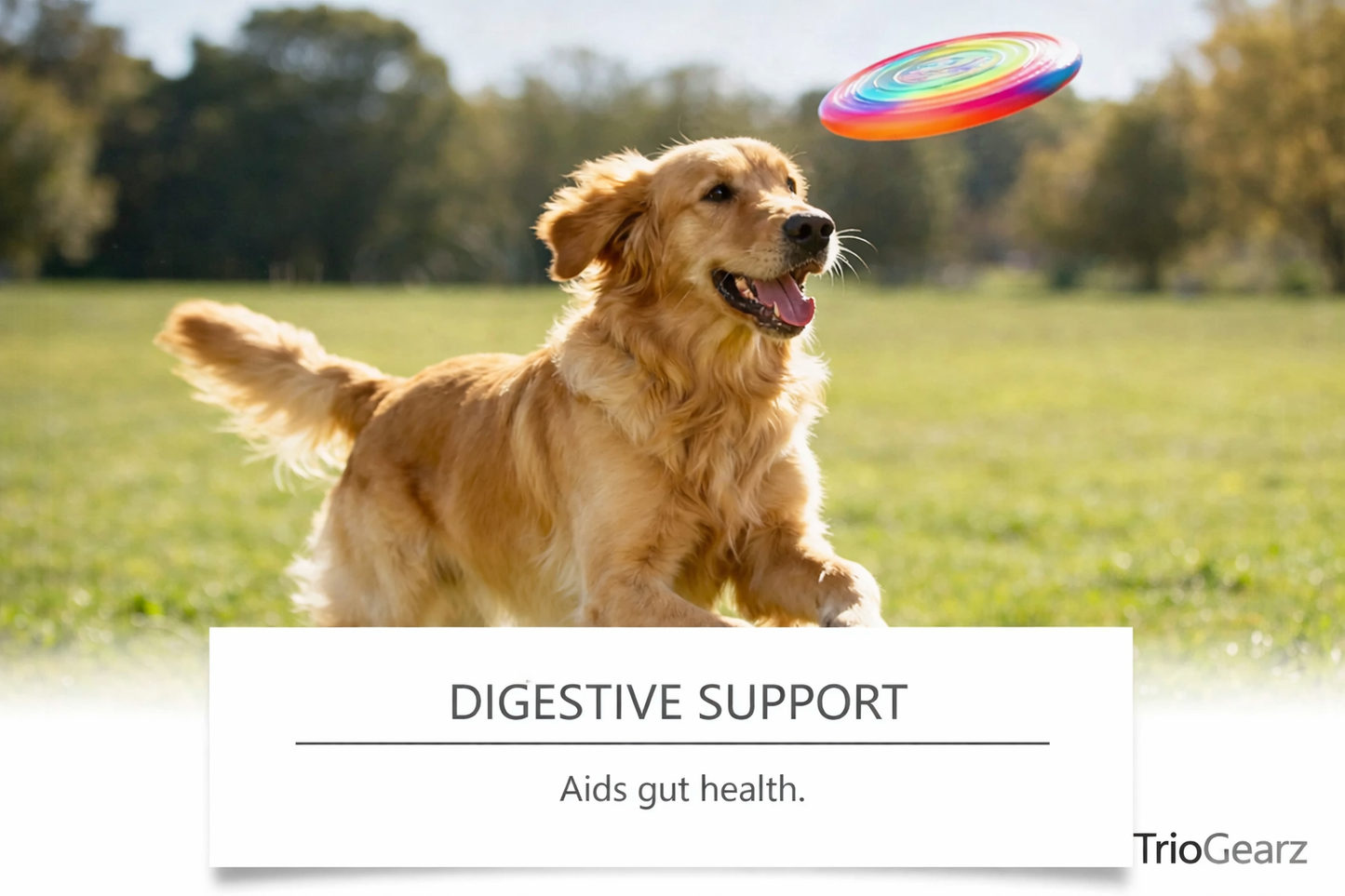 PawFlex Joint Care Chews
