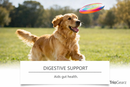 PawFlex Joint Care Chews